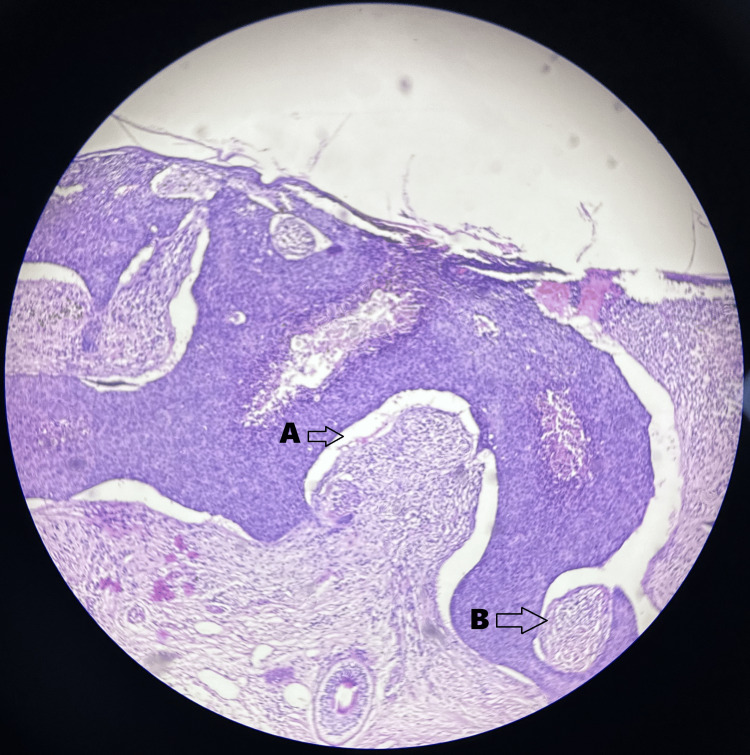 Figure 7