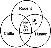 FIGURE 3