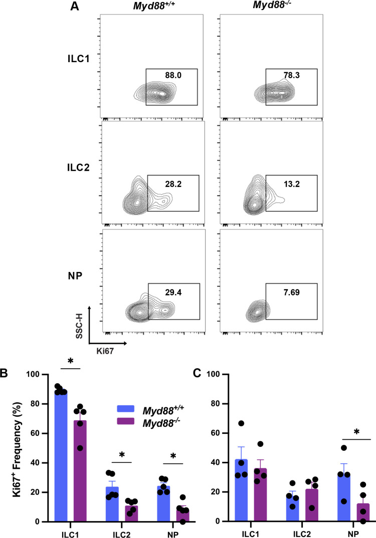Fig 5