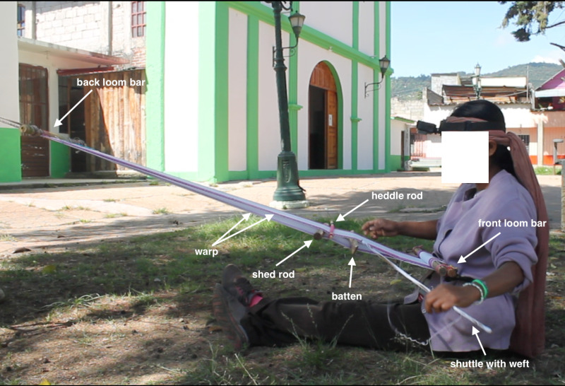 Fig 2