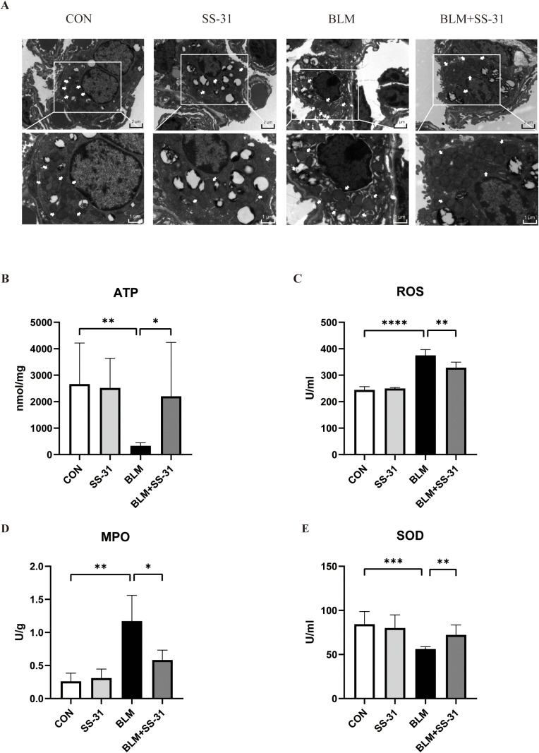 Fig 4