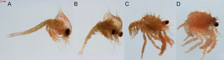 Fig 1