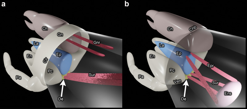 Figure 7