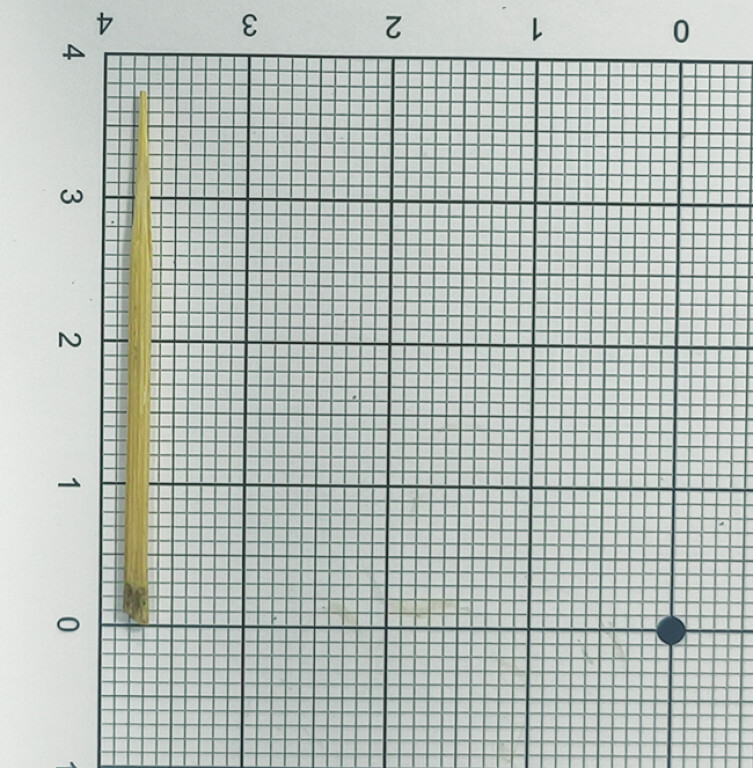 Fig. 3