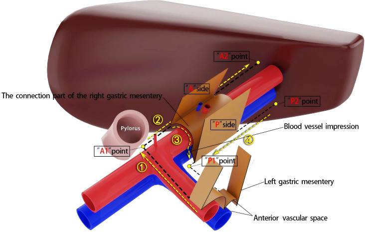 Figure 3