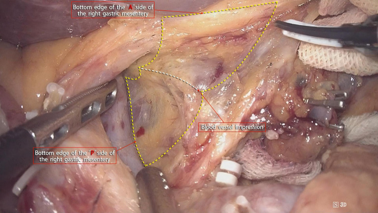 Figure 6