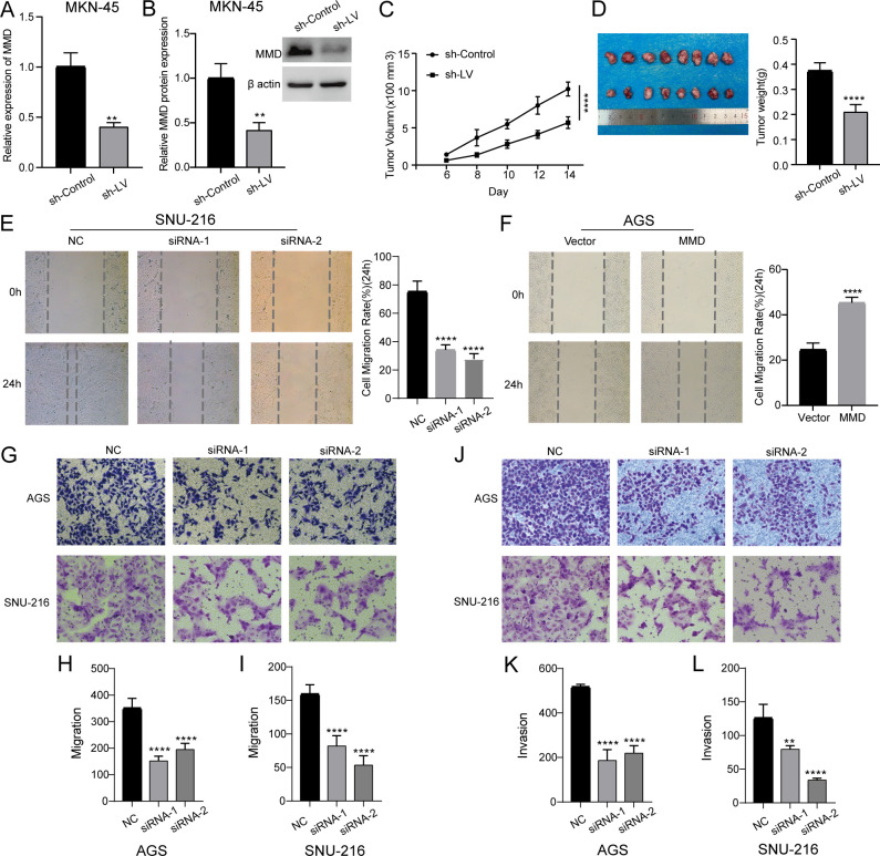 Figure 8