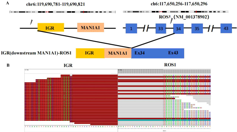 Figure 2