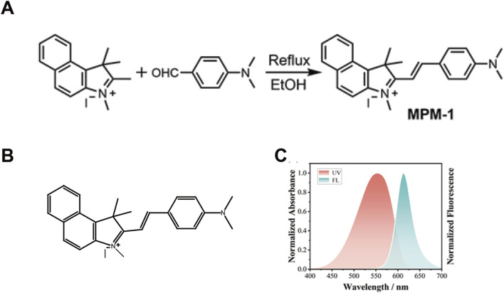FIGURE 1