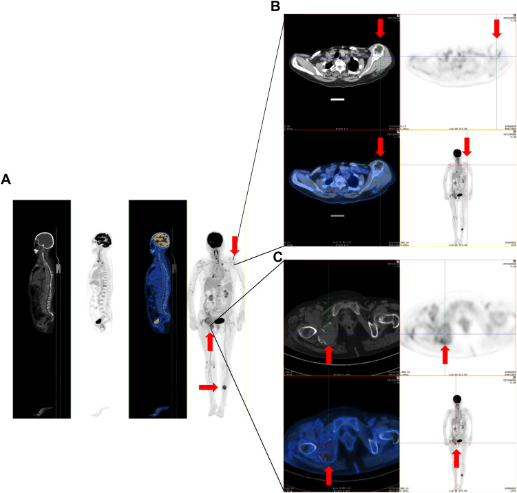 Figure 2