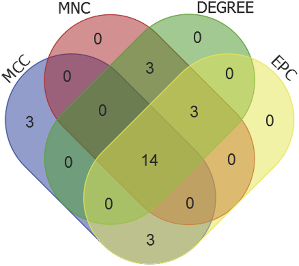 FIGURE 9