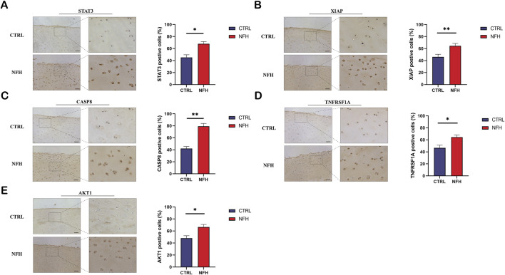 FIGURE 15