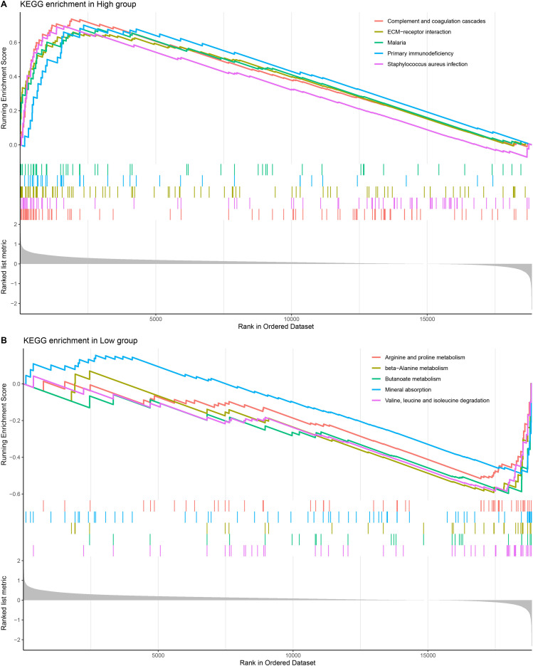 Figure 6