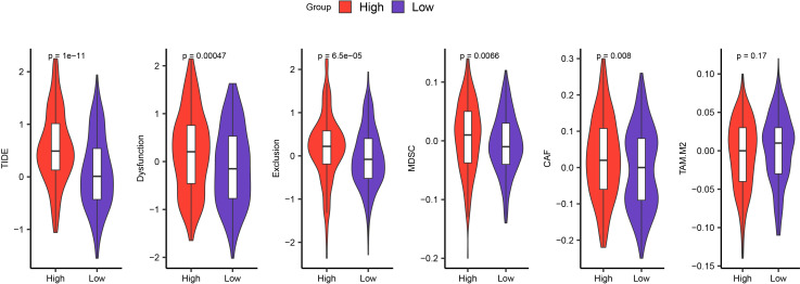 Figure 7