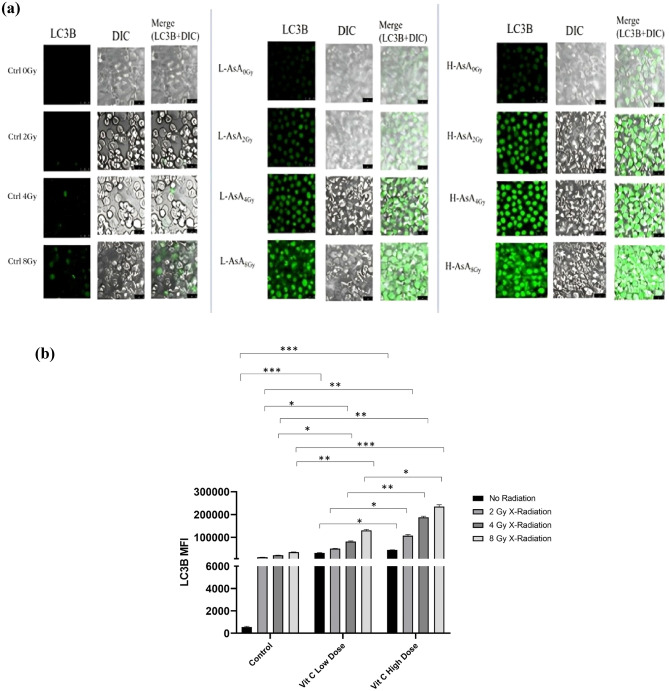 Figure 8