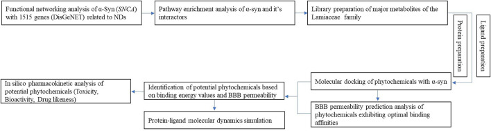 FIGURE 1