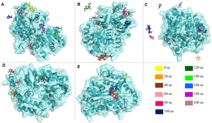 FIGURE 7
