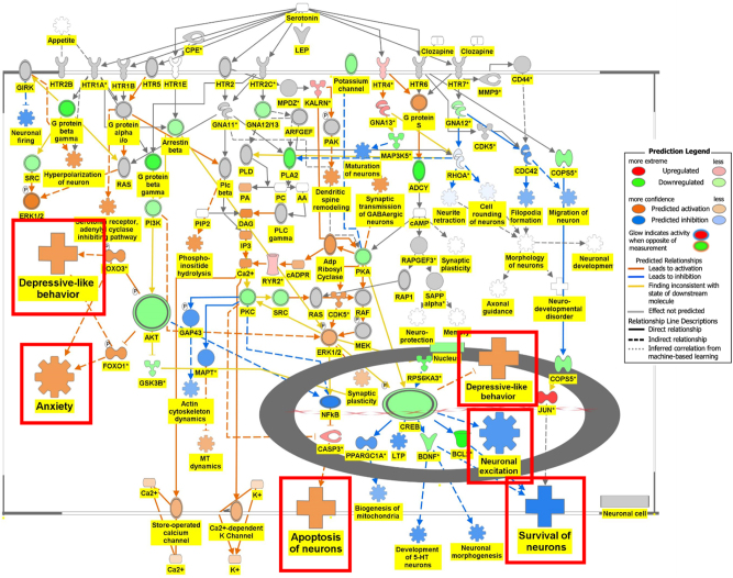 Figure 6A