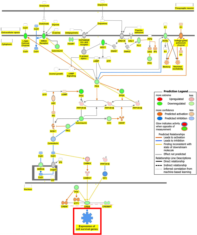 Figure 6B