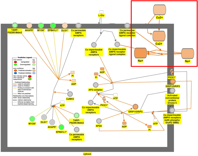Figure 6D