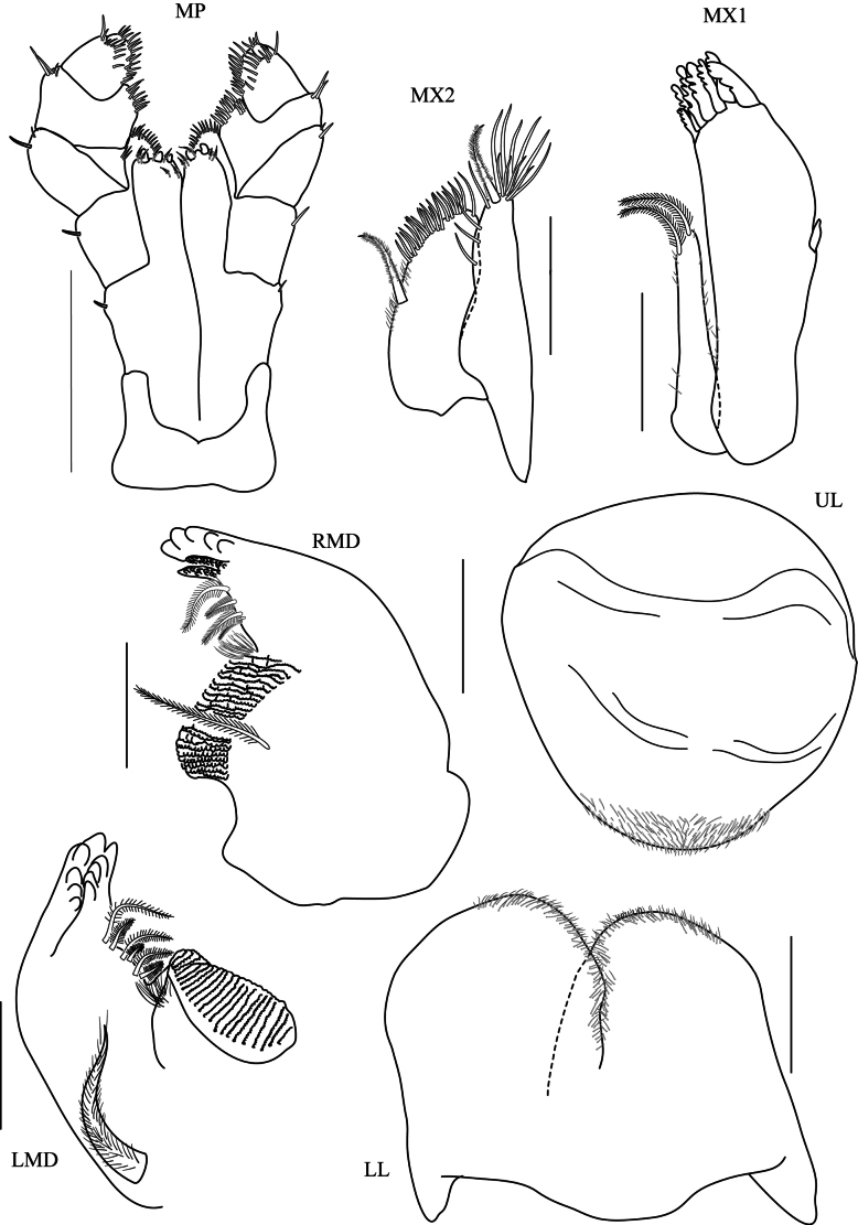 Figure 9