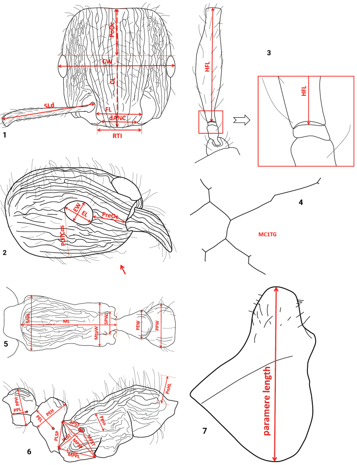 Figures 1–7