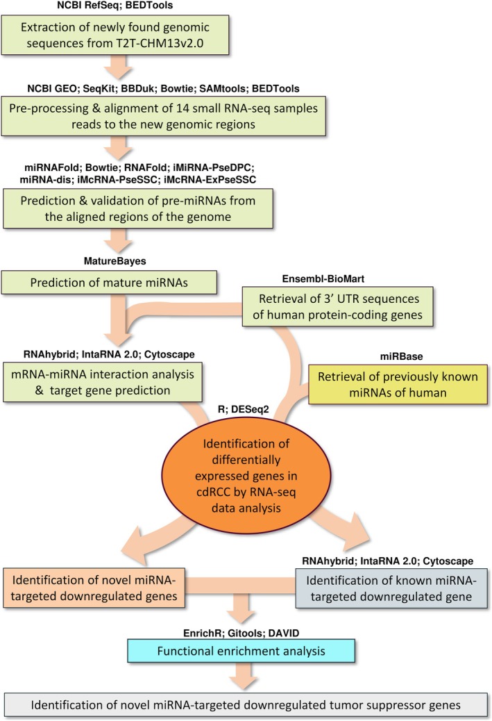 Figure 6