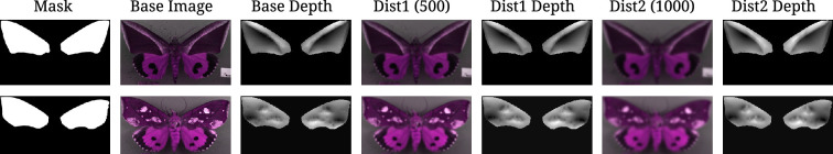 Figure 9