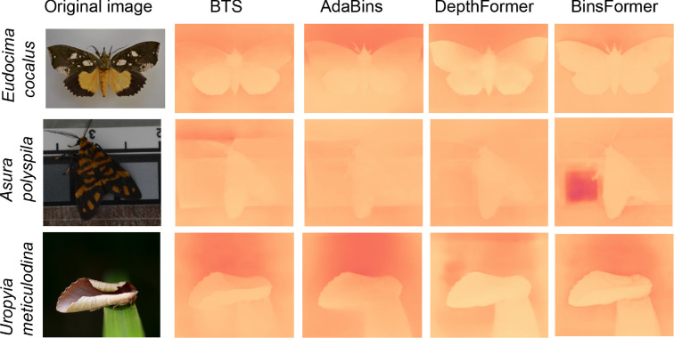 Figure 11