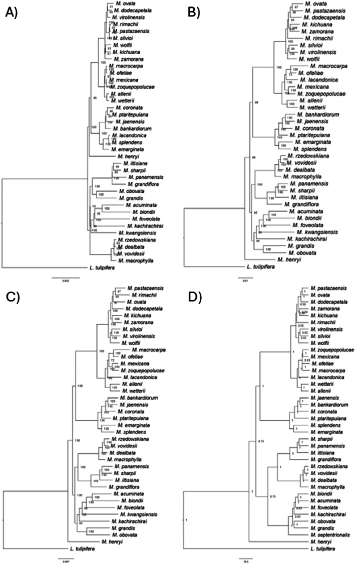 Figure 4