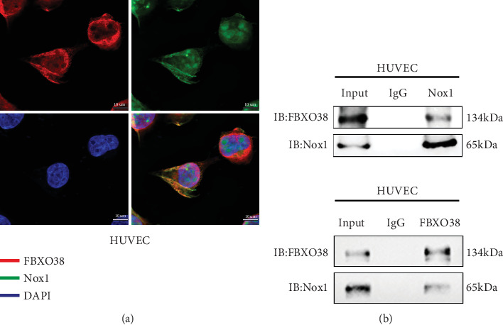 Figure 6