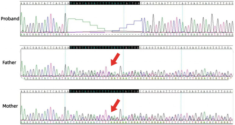 Figure 5