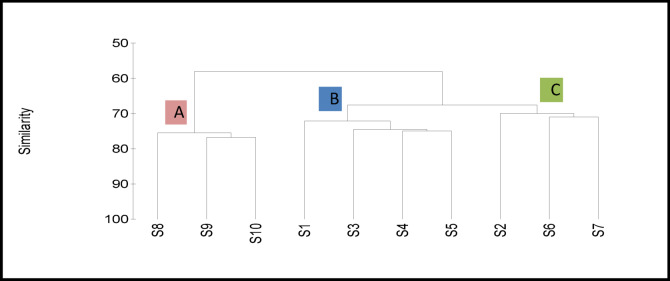 Figure 10