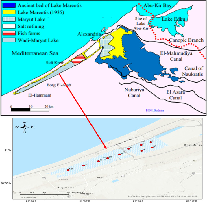 Figure 11