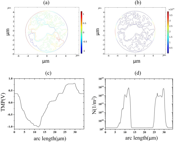 Figure 14