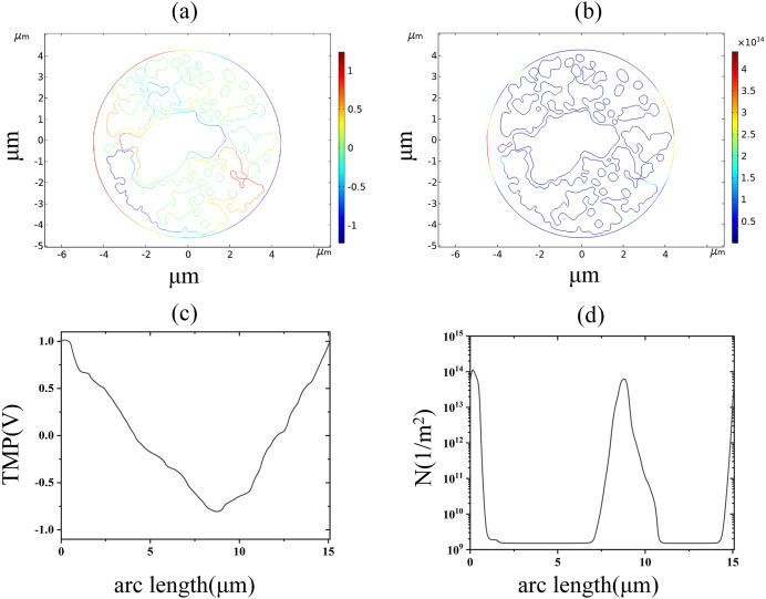 Figure 15