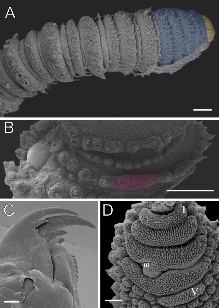 Figure 13