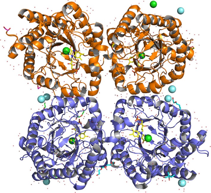 Figure 6