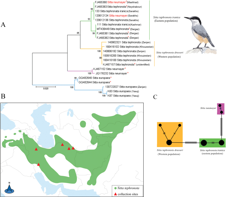 Figure 2