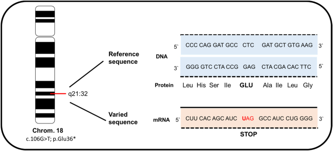 Figure 4