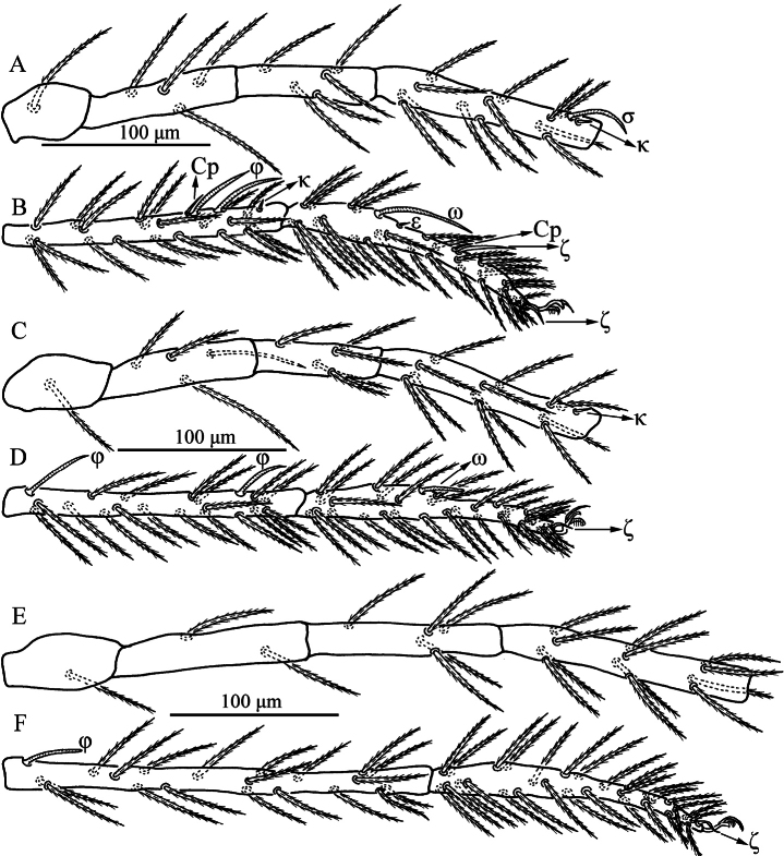 Figure 8