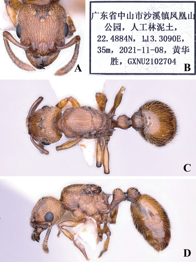 Figure 2