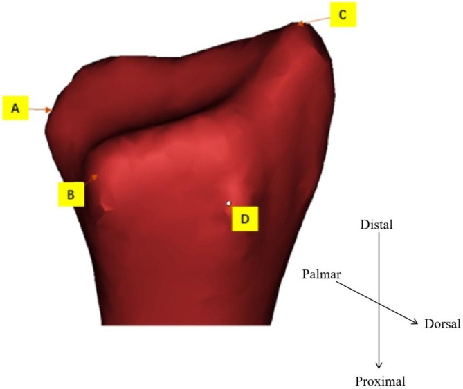 Figure 8