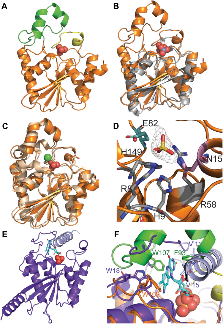 Figure 7