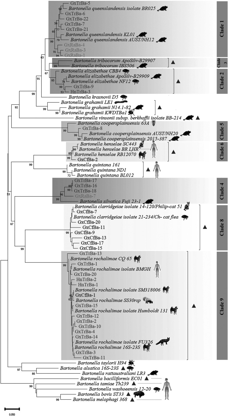 Figure 6
