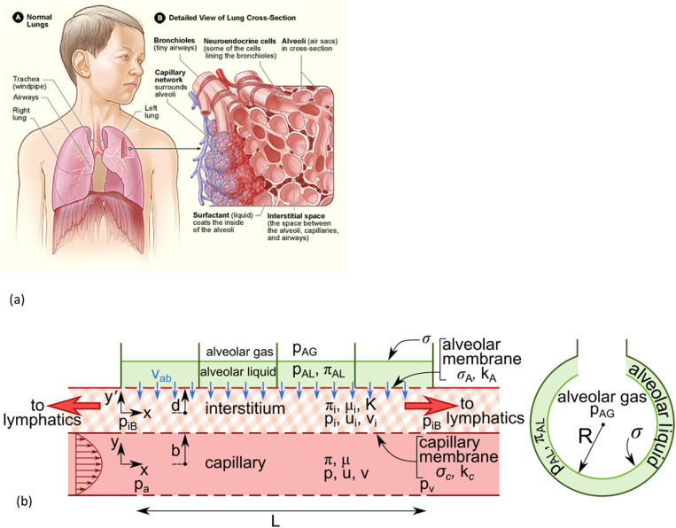 Figure 40