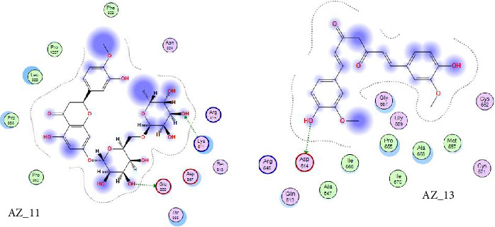 Figure 11