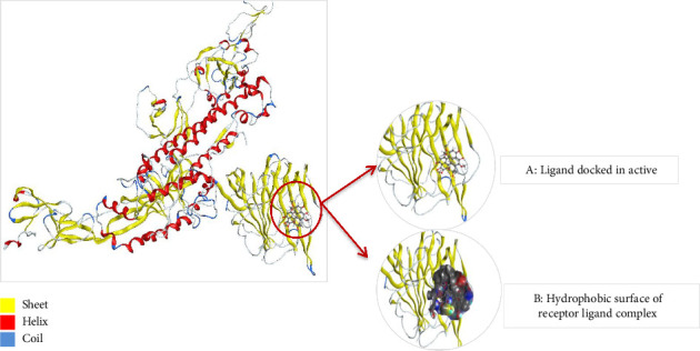 Figure 12