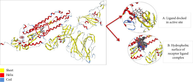 Figure 13