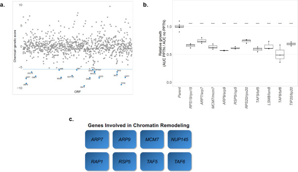 Figure 4